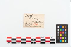 Etikett zu Eisengriffangelmesser (NHMW-PRAE-025346)